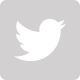 twitter-gris